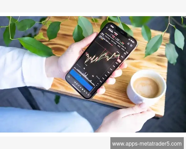MT5账户历史中的手续费与佣金明细分类核对流程