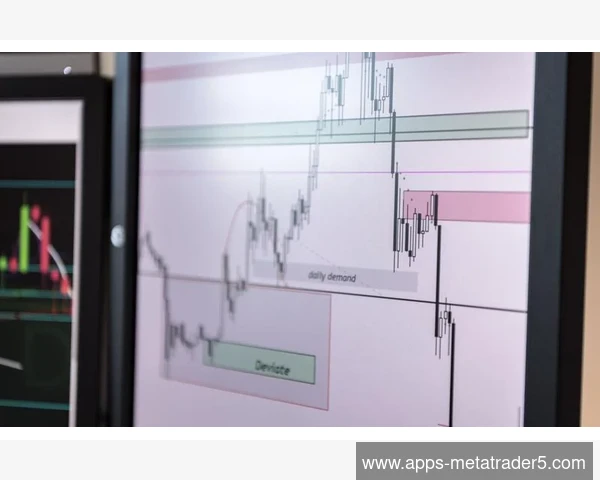 MetaTrader 5登录界面历史账户信息批量删除清理方法