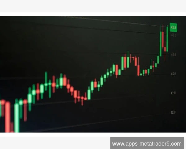 MT5界面语言切换后部分术语显示乱码的字体修复