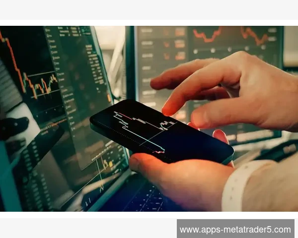 MetaTrader 5登录服务器节点切换降低网络延迟方法