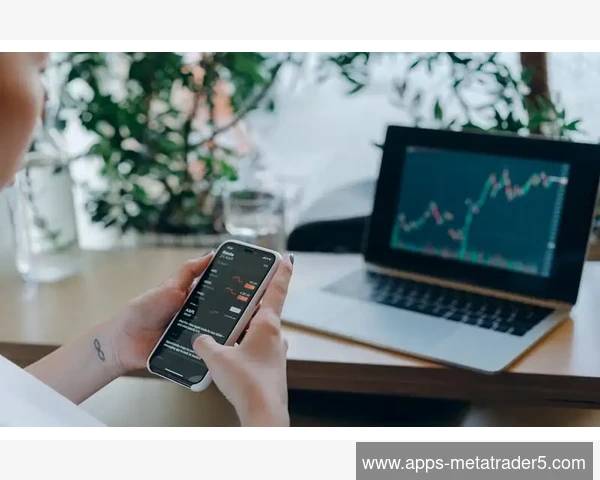 MT5不同图表周期下同一形态的成功率统计分析实践
