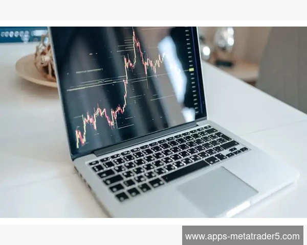 应对MetaTrader 5市场深度窗口中买卖盘失衡的解读