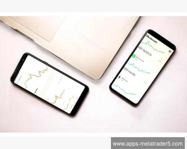 优化MetaTrader 5策略组合回测时的品种权重分配