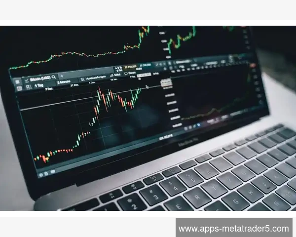 掌握MetaTrader 5中平衡交易量的多空力量对比解读