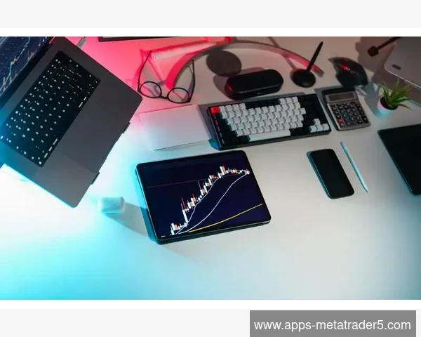 MetaTrader 5 EA参数保存加载快速切换配置
