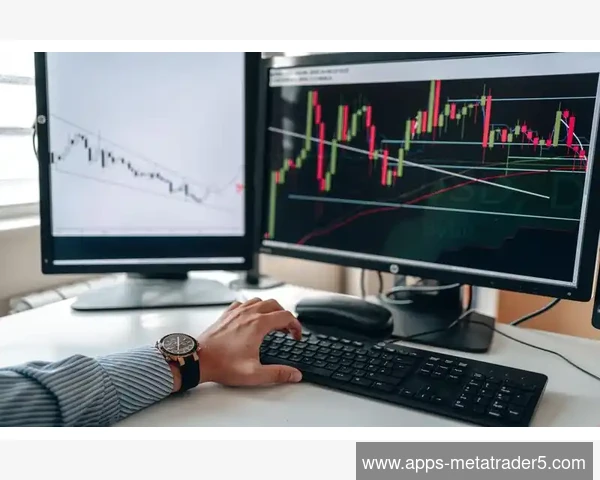MetaTrader 5 EA回测报告生成详细统计分析内容