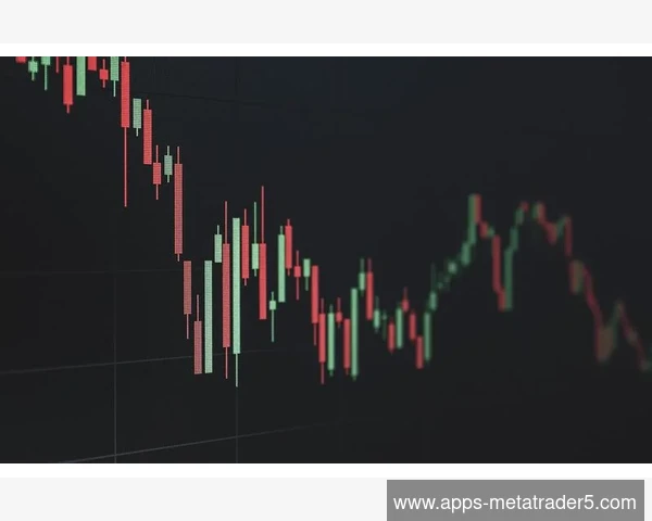 利用MetaTrader 5交易报告中的最大盈利单分析策略优势